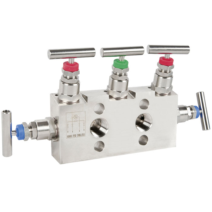 Valve manifold Models IV30, IV31, IV50, IV51